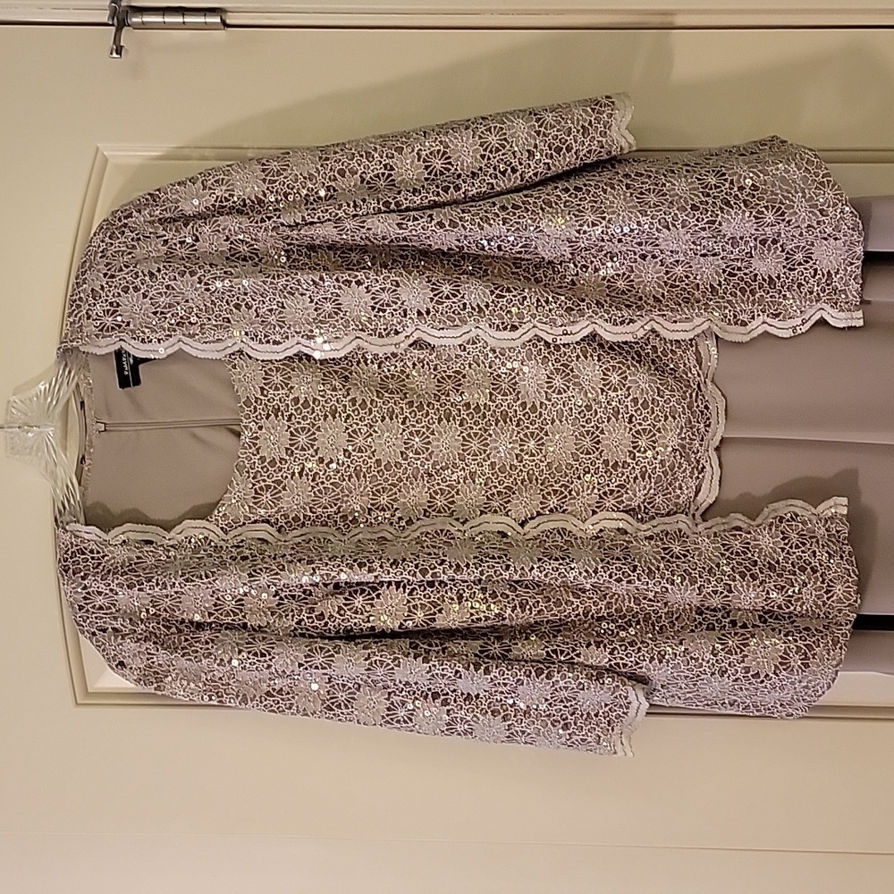 R&M Richards Woman Lace and Sequin Special Occasion Taupe Dress Size 14W - Picture 2 of 9